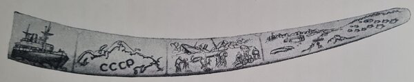 Walrus tusk engraving